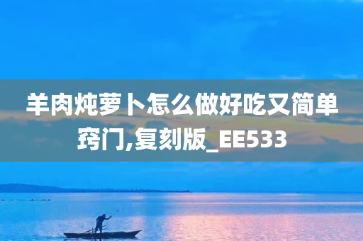 羊肉炖萝卜怎么做好吃又简单窍门,复刻版_EE533