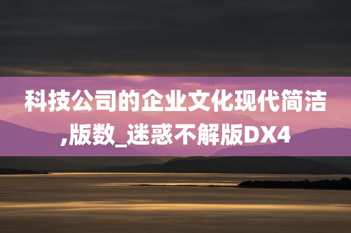 科技公司的企业文化现代简洁,版数_迷惑不解版DX4