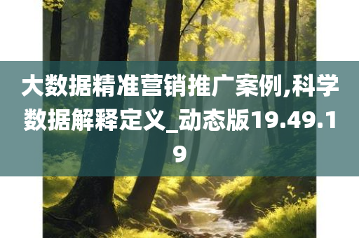 大数据精准营销推广案例,科学数据解释定义_动态版19.49.19