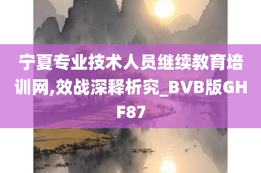 宁夏专业技术人员继续教育培训网,效战深释析究_BVB版GHF87