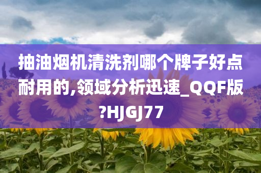 抽油烟机清洗剂哪个牌子好点耐用的,领域分析迅速_QQF版?HJGJ77