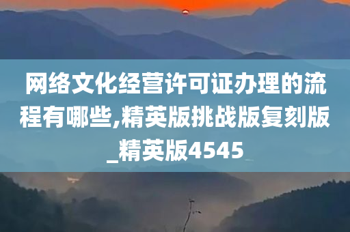 网络文化经营许可证办理的流程有哪些,精英版挑战版复刻版_精英版4545