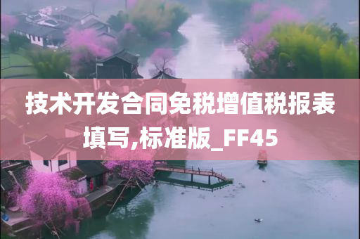 技术开发合同免税增值税报表填写,标准版_FF45