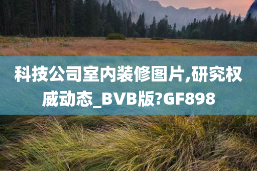 科技公司室内装修图片,研究权威动态_BVB版?GF898