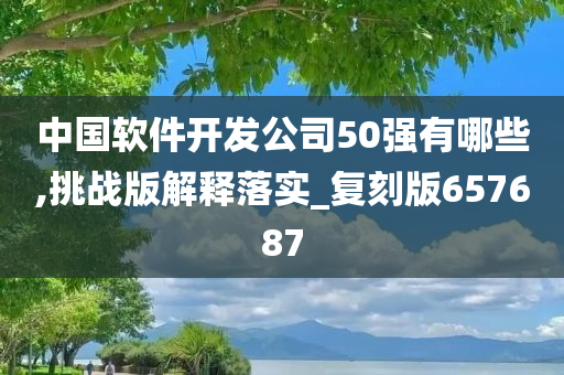 中国软件开发公司50强有哪些,挑战版解释落实_复刻版657687