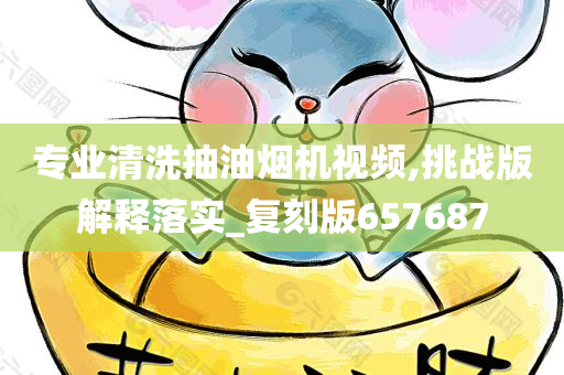 专业清洗抽油烟机视频,挑战版解释落实_复刻版657687