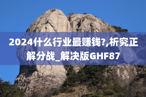 2024什么行业最赚钱?,析究正解分战_解决版GHF87