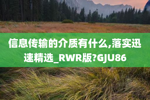 信息传输的介质有什么,落实迅速精选_RWR版?GJU86