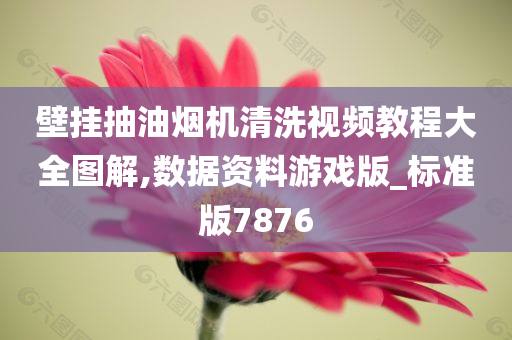 壁挂抽油烟机清洗视频教程大全图解,数据资料游戏版_标准版7876