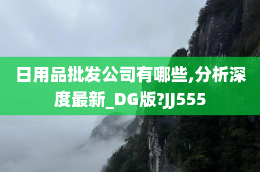 日用品批发公司有哪些,分析深度最新_DG版?JJ555