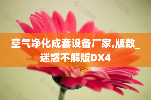 空气净化成套设备厂家,版数_迷惑不解版DX4