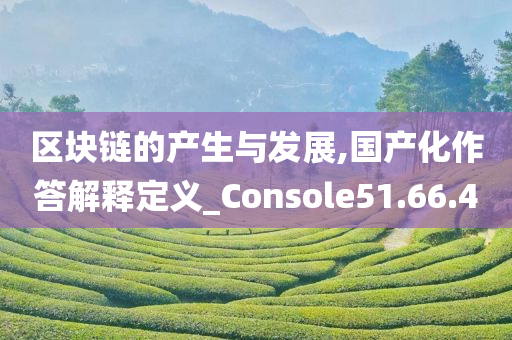 区块链的产生与发展,国产化作答解释定义_Console51.66.40