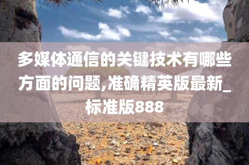 多媒体通信的关键技术有哪些方面的问题,准确精英版最新_标准版888