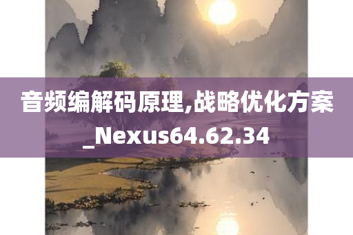 音频编解码原理,战略优化方案_Nexus64.62.34