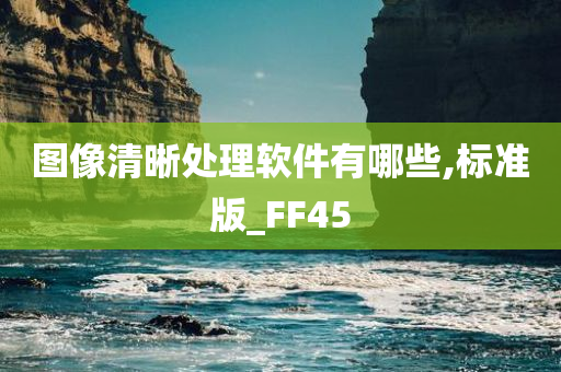 图像清晰处理软件有哪些,标准版_FF45