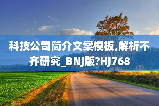 科技公司简介文案模板,解析不齐研究_BNJ版?HJ768