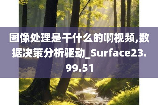 图像处理是干什么的啊视频,数据决策分析驱动_Surface23.99.51