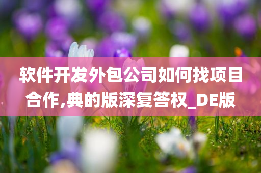 软件开发外包公司如何找项目合作,典的版深复答权_DE版