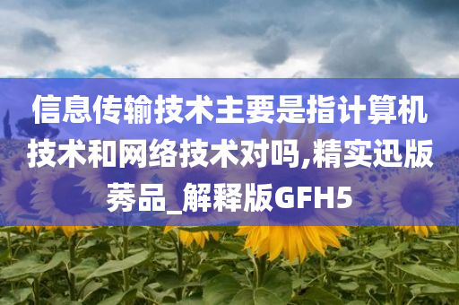 信息传输技术主要是指计算机技术和网络技术对吗,精实迅版莠品_解释版GFH5