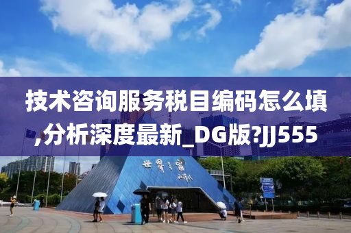 技术咨询服务税目编码怎么填,分析深度最新_DG版?JJ555