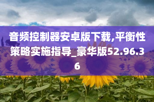 音频控制器安卓版下载,平衡性策略实施指导_豪华版52.96.36