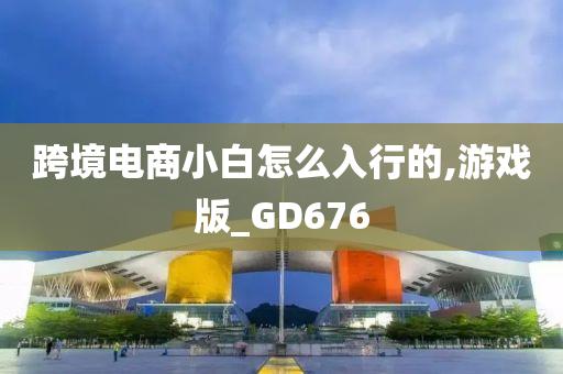 跨境电商小白怎么入行的,游戏版_GD676