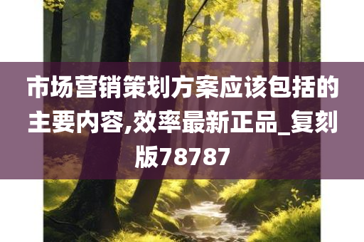 市场营销策划方案应该包括的主要内容,效率最新正品_复刻版78787