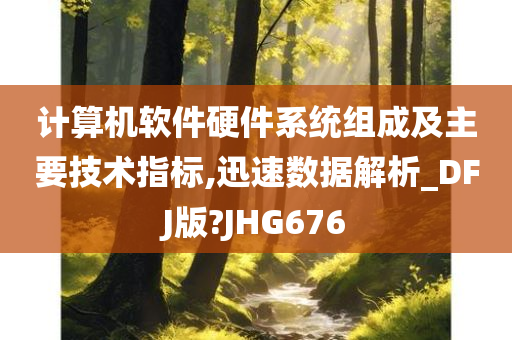 计算机软件硬件系统组成及主要技术指标,迅速数据解析_DFJ版?JHG676