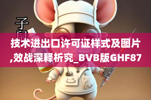 技术进出口许可证样式及图片,效战深释析究_BVB版GHF87