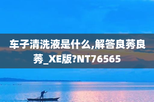 车子清洗液是什么,解答良莠良莠_XE版?NT76565