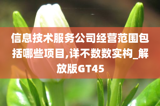 信息技术服务公司经营范围包括哪些项目,详不数数实构_解放版GT45