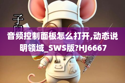 音频控制面板怎么打开,动态说明领域_SWS版?HJ6667