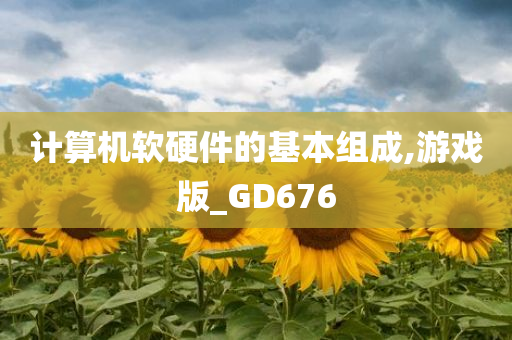 计算机软硬件的基本组成,游戏版_GD676