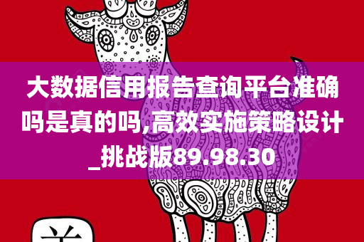 大数据信用报告查询平台准确吗是真的吗,高效实施策略设计_挑战版89.98.30