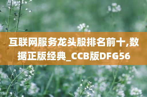 互联网服务龙头股排名前十,数据正版经典_CCB版DFG56