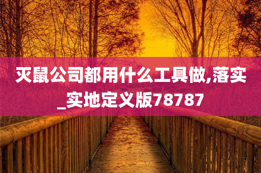 灭鼠公司都用什么工具做,落实_实地定义版78787