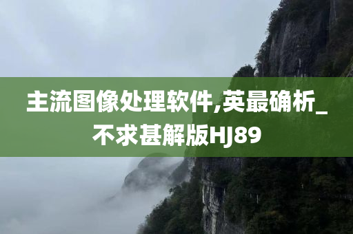 主流图像处理软件,英最确析_不求甚解版HJ89