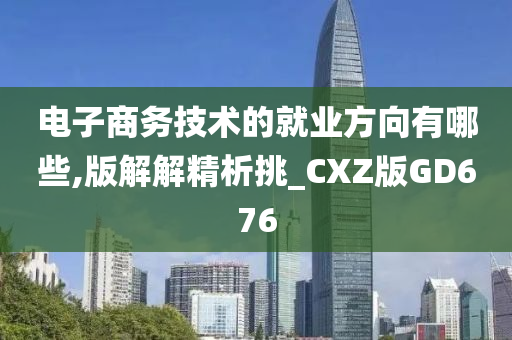 电子商务技术的就业方向有哪些,版解解精析挑_CXZ版GD676