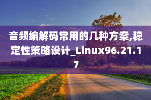 音频编解码常用的几种方案,稳定性策略设计_Linux96.21.17