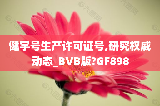 健字号生产许可证号,研究权威动态_BVB版?GF898