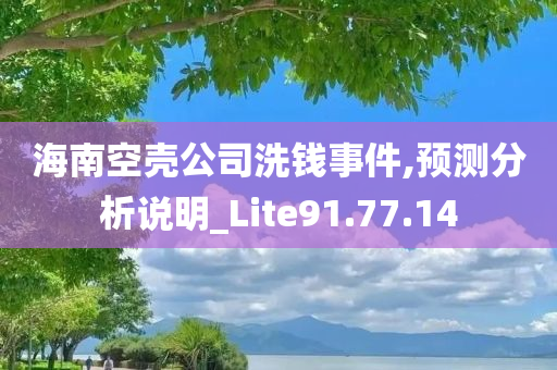 海南空壳公司洗钱事件,预测分析说明_Lite91.77.14