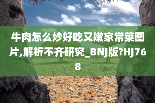 牛肉怎么炒好吃又嫩家常菜图片,解析不齐研究_BNJ版?HJ768