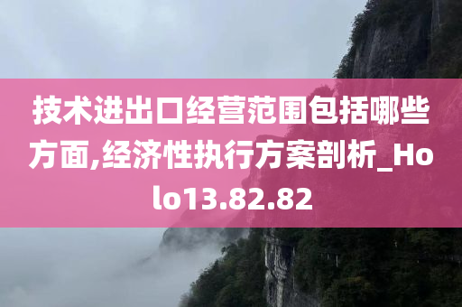 技术进出口经营范围包括哪些方面,经济性执行方案剖析_Holo13.82.82