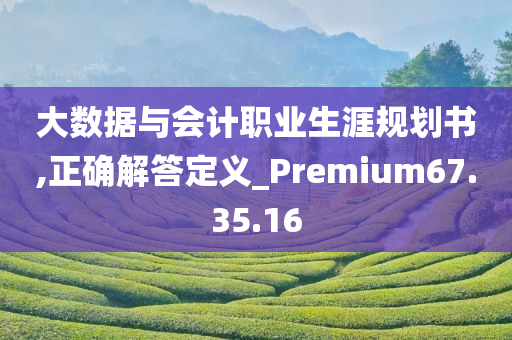 大数据与会计职业生涯规划书,正确解答定义_Premium67.35.16