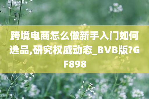 跨境电商怎么做新手入门如何选品,研究权威动态_BVB版?GF898