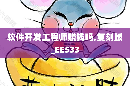 软件开发工程师赚钱吗,复刻版_EE533