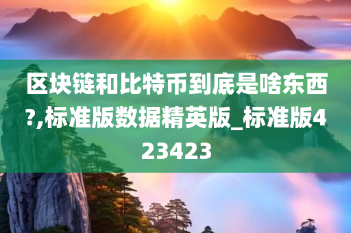 区块链和比特币到底是啥东西?,标准版数据精英版_标准版423423