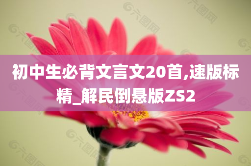 初中生必背文言文20首,速版标精_解民倒悬版ZS2