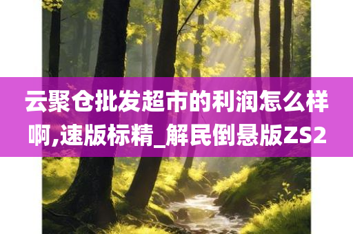 云聚仓批发超市的利润怎么样啊,速版标精_解民倒悬版ZS2