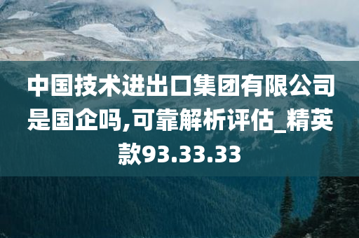 中国技术进出口集团有限公司是国企吗,可靠解析评估_精英款93.33.33